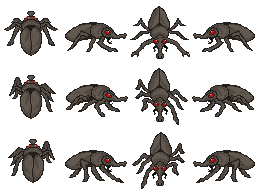 Insect